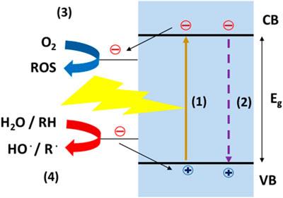 Which Are the Main Surface Disinfection Approaches at the Time of SARS-CoV-2?